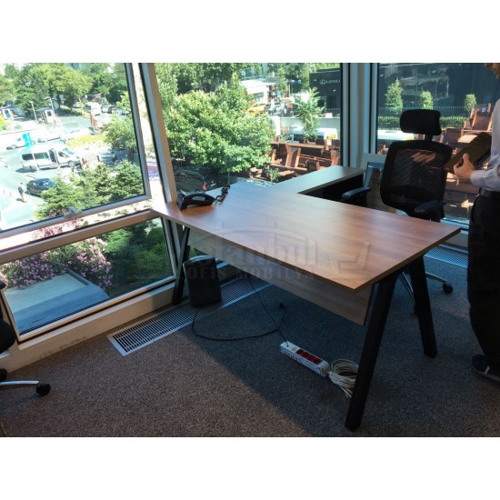 Rizzo Desk