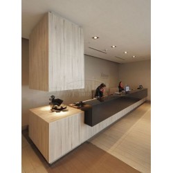 Large countertops Florence