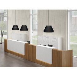 Parma Special Reception Desk