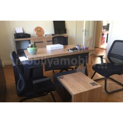 Ms. Taksim Office Furniture Tulips