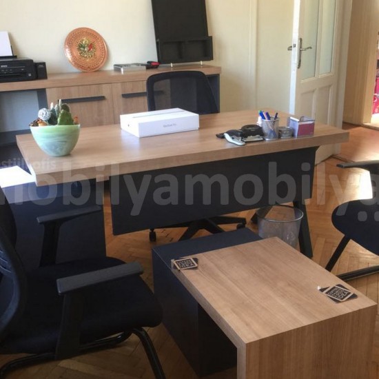 Ms. Taksim Office Furniture Tulips