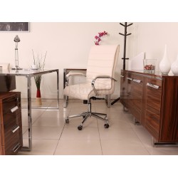 Business_furnitures