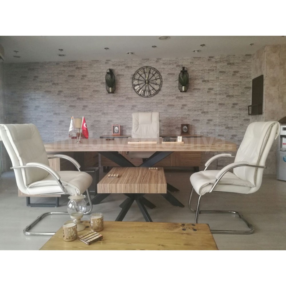 Mugla Office Executive Office