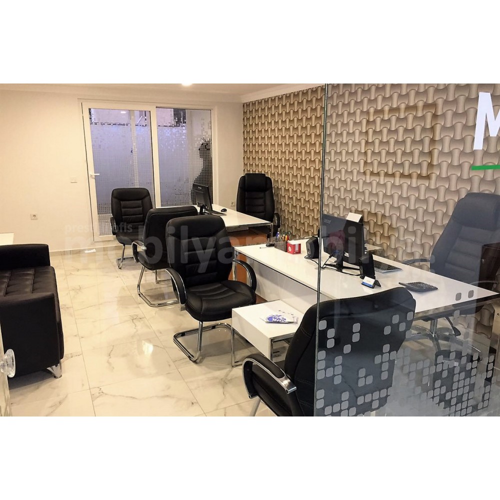 Mr. Alba basement Office Furniture