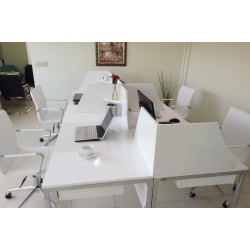 In The Multi Zealand Desk for Four Person 276x138cm