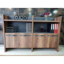 Elegant Cabinet Office