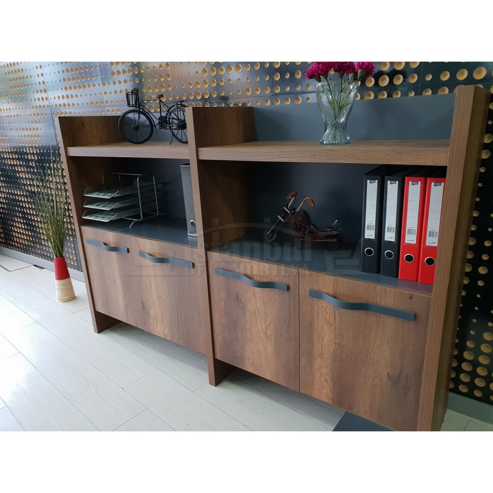 Elegant Cabinet Office