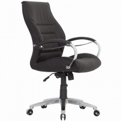 Mira Working Working Chair