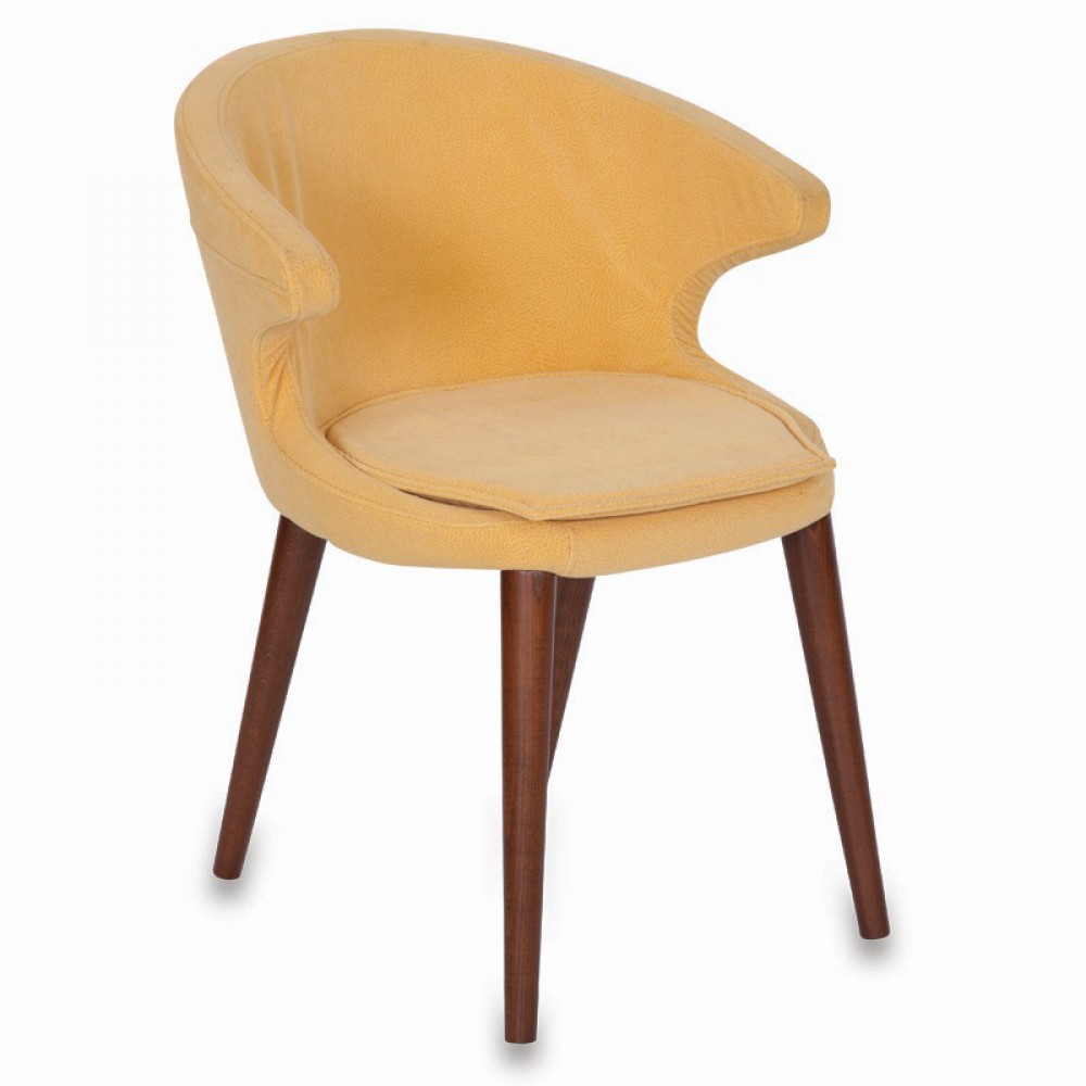 Dudi Wooden Guest Chair