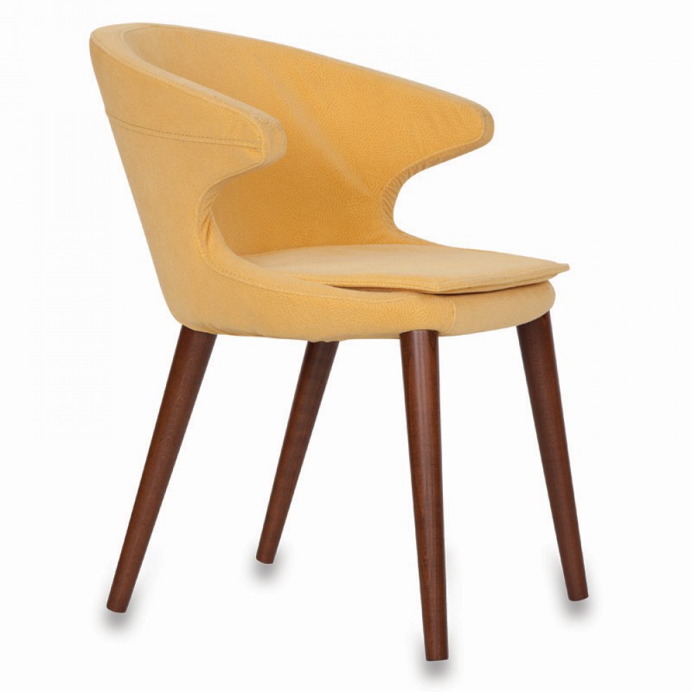 Dudi Wooden Guest Chair