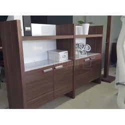 Elegant Cabinet Office