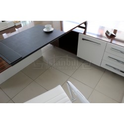 Singapore Office Desk  220-100