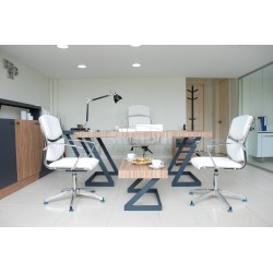 Authorities Zen Table 220-100