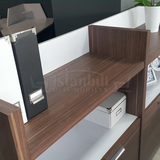 Elegant Cabinet Office