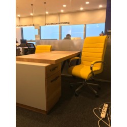 Germany Office Furniture