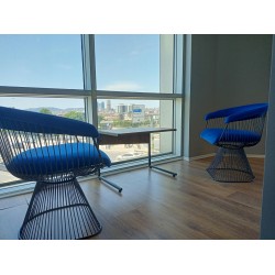 Decorative Wire Chair