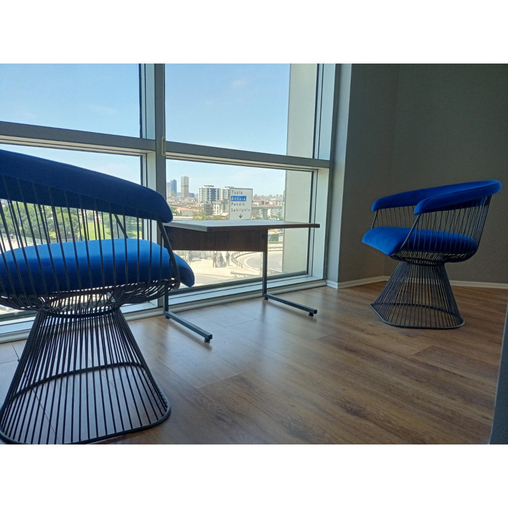 Decorative Wire Chair