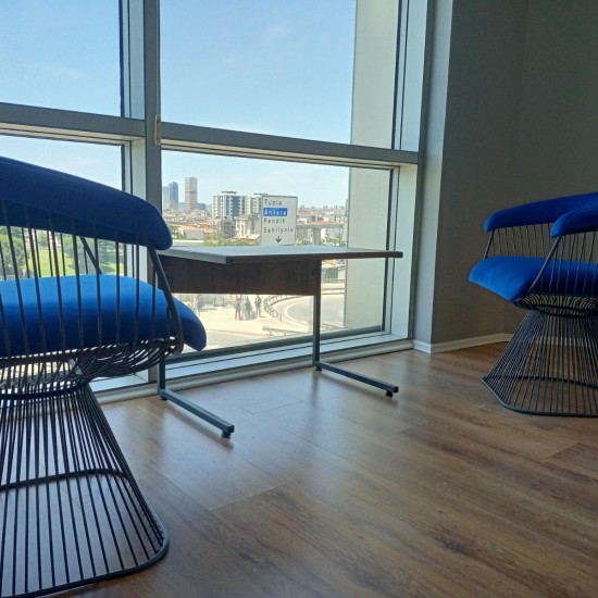 Decorative Wire Chair