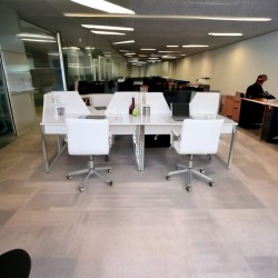 In The Multi Zealand Desk for Four Person 276x138cm