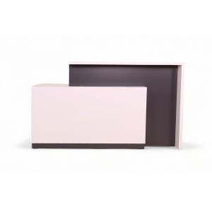 Reception Desk