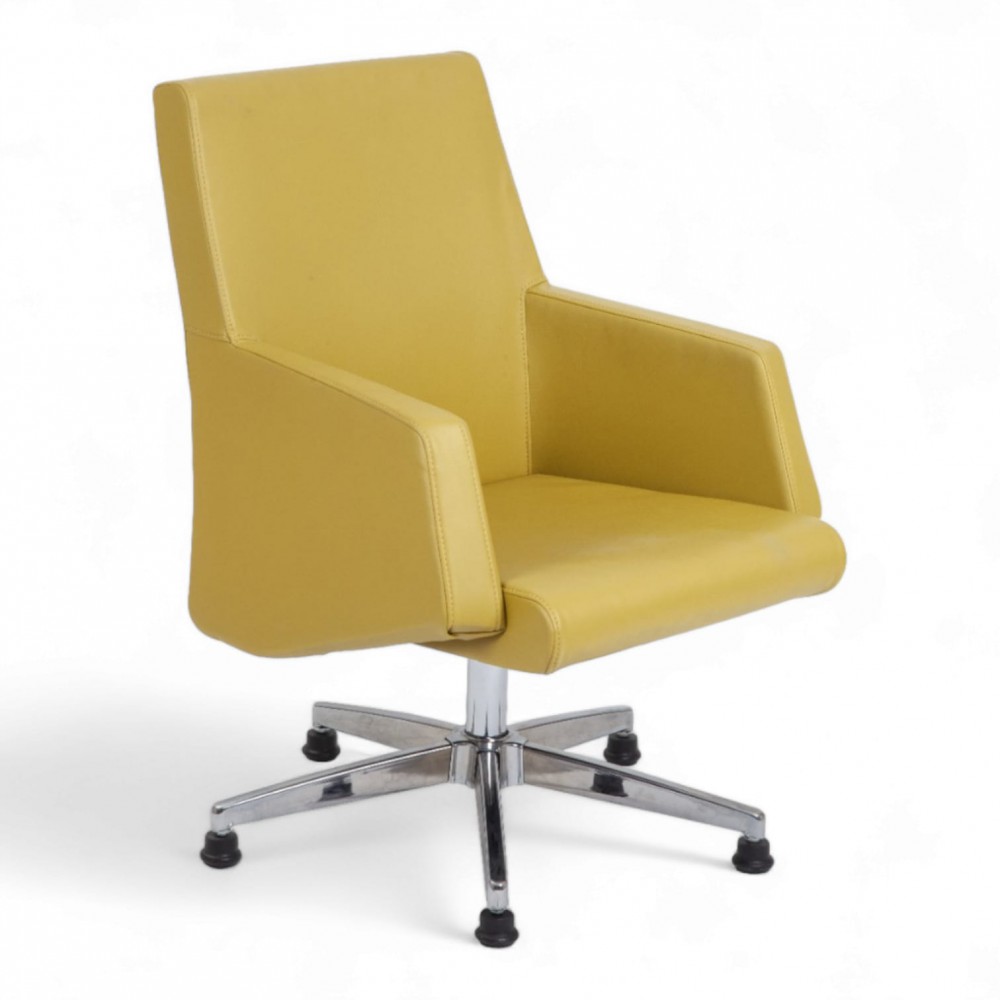 Vorsi Guest Chair Stars