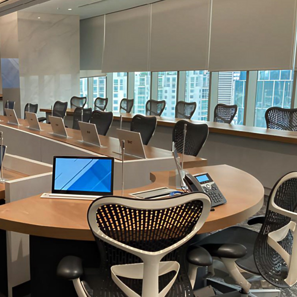 AML-17.3 Motorized Monitor Lift