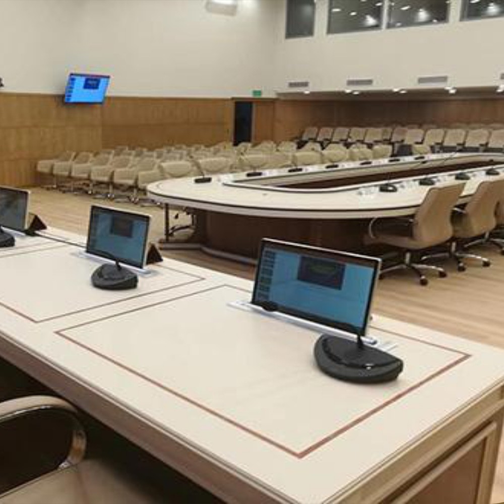 BLL 17.3 Motorized Moniter Lift