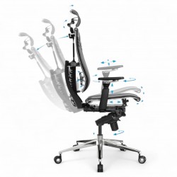 Ergonomic Office Chair