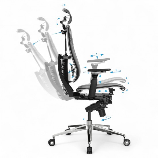 Ergonomic Office Chair