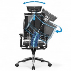 Ergonomic Office Chair