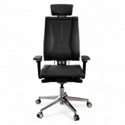Ergonomic Office Chair