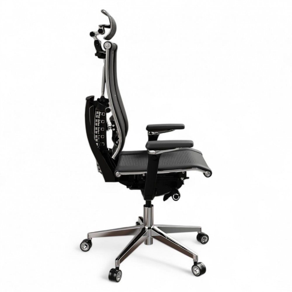 Ergonomic Office Chair