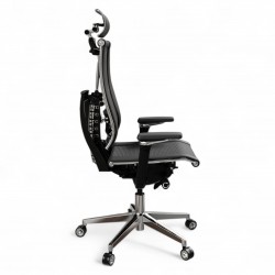 Ergonomic Office Chair