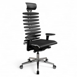 Metal Frame Equalizer Anatomical Executive Chair