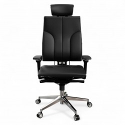 Ergonomic Office Chair