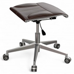 Metal Frame Leg Extension