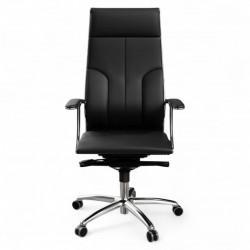 ergonomic chair