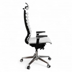 Metal Frame Equalizer Anatomical Executive Chair