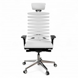 Metal Frame Equalizer Anatomical Executive Chair