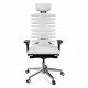 Metal Frame Equalizer Anatomical Executive Chair