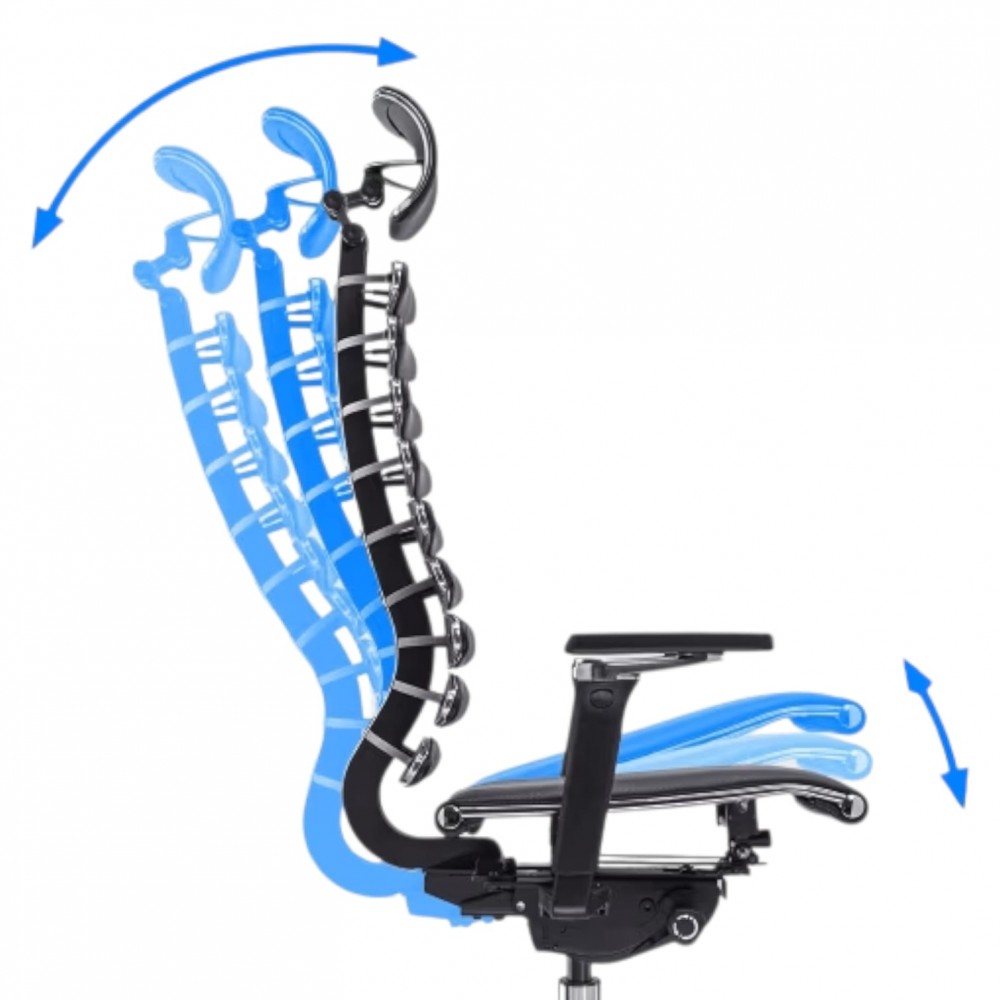 Metal Frame Equalizer Anatomical Executive Chair