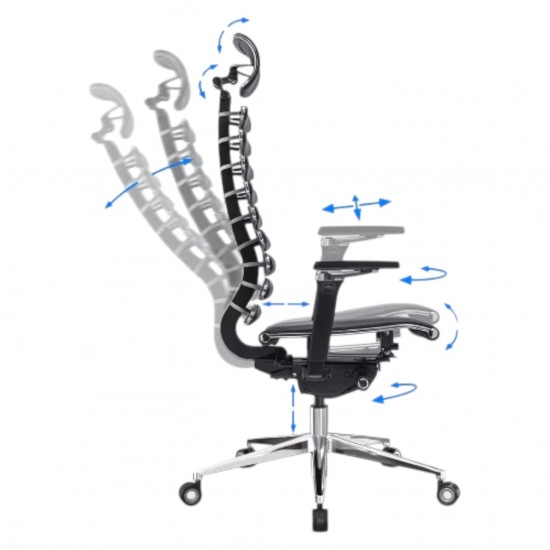 Metal Frame Equalizer Anatomical Executive Chair