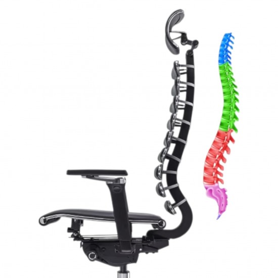 Metal Frame Equalizer Anatomical Executive Chair