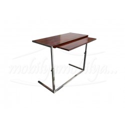 Professional Laptop Desk