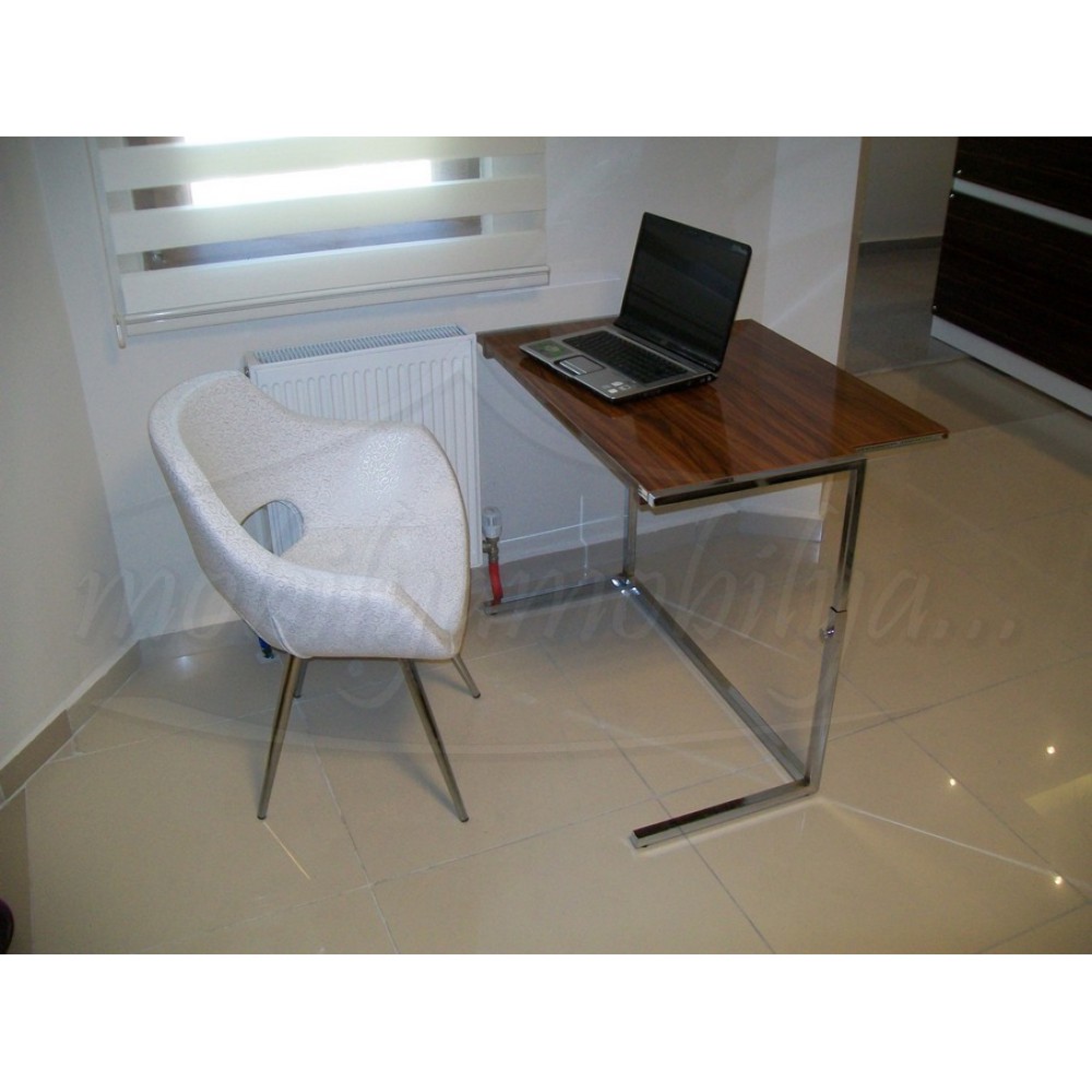 Professional Laptop Desk