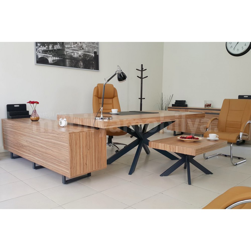 Lexus Executive Office Team