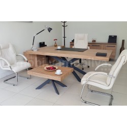 Lexus Executive Office Team