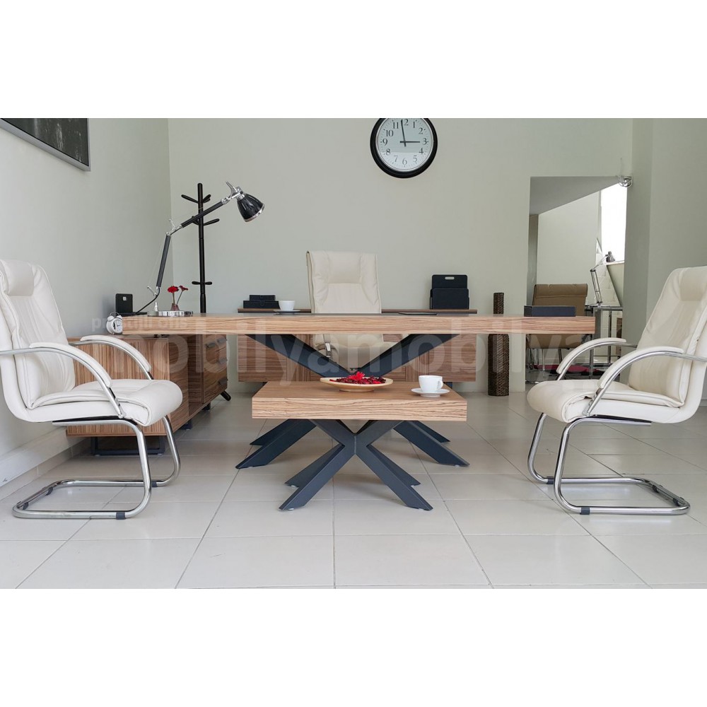 Lexus Executive Office Team