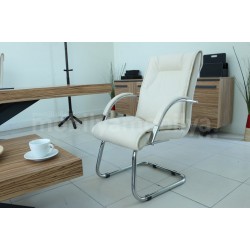 Lexus Executive Office Team