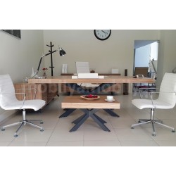 Lexus Executive Office Team